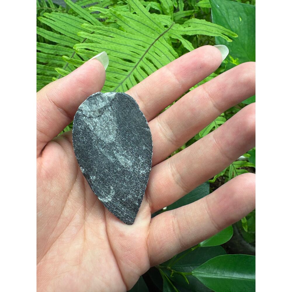 Polished Orthoceras Fossil – Teardrop Shape - Intuitively Chosen Fossil - Picture 7 of 10